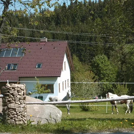 Ferienwohnung Sacher Apartment