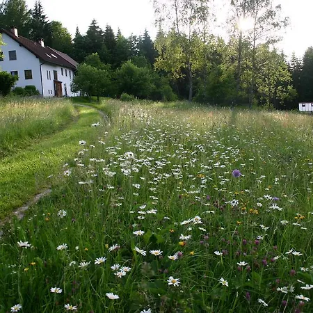 Ferienwohnung Sacher * Sandl